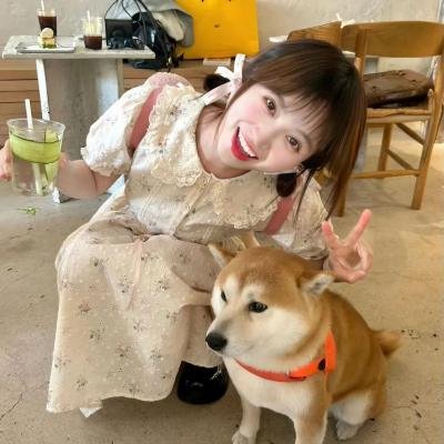 派特森与芬达猫4